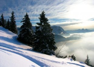Skitour in Seefeld, Tirol